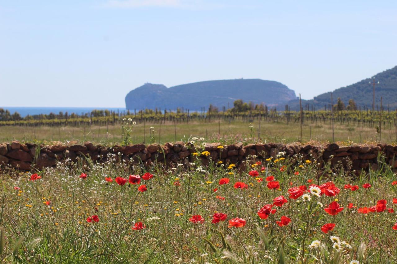 Agriturismo Graziano E Barbara Porto Conte Eksteriør billede