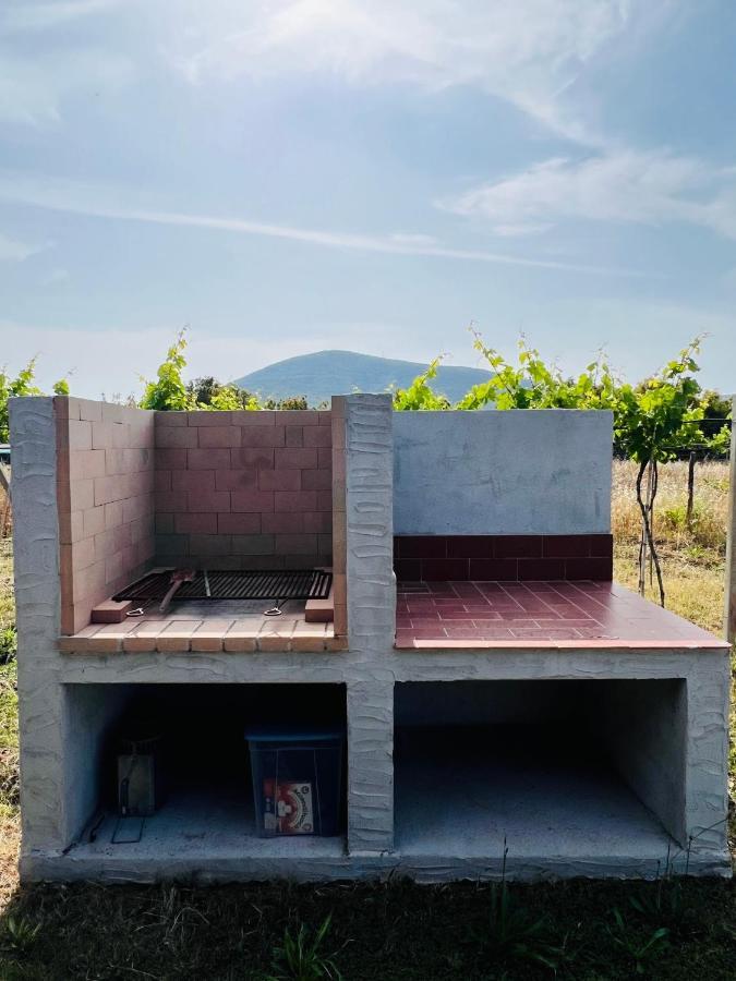 Agriturismo Graziano E Barbara Porto Conte Eksteriør billede